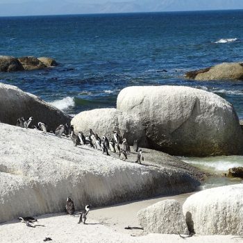 Boulders Beach